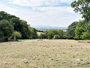 View- click for photo gallery